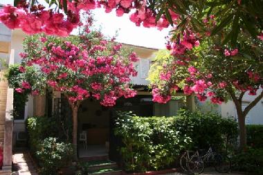 Maison de vacances �/en/au Ragusa (Ragusa)ou appartement ou maison de vacances