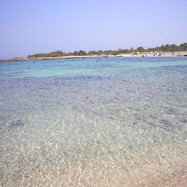 Maison de vacances �/en/au Ostuni (Brindisi)ou appartement ou maison de vacances