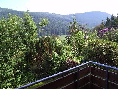 Appartement de vacances /en/au Baiersbronn-Obertal (Schwarzwald)ou appartement ou maison de vacances