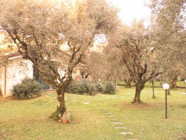 Appartement de vacances �/en/au Pozzi di Seravezza (Lucca)ou appartement ou maison de vacances