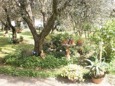 Appartement de vacances �/en/au Pozzi di Seravezza (Lucca)ou appartement ou maison de vacances