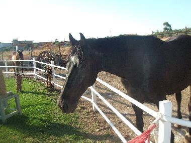 Maison de vacances �/en/au crotone (Crotone)ou appartement ou maison de vacances