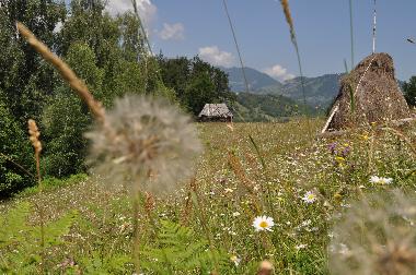 Maison de vacances �/en/au Brasov (Brasov)ou appartement ou maison de vacances