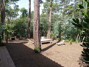 Villa �/en/au lacanau ocean (Gironde)ou appartement ou maison de vacances