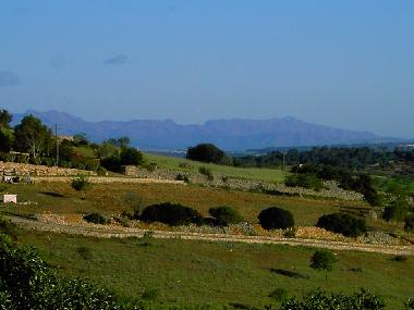 Appartement de vacances /en/au Son Macia (Mallorca)ou appartement ou maison de vacances