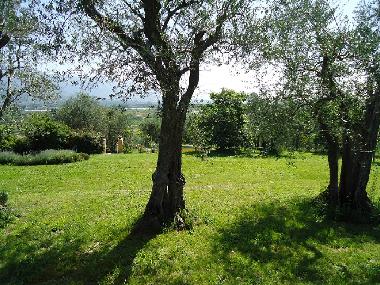 Maison de vacances /en/au San Quirico di Moriano (Lucca)ou appartement ou maison de vacances