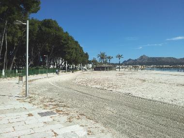 Appartement de vacances �/en/au palma de mallorca (Mallorca)ou appartement ou maison de vacances