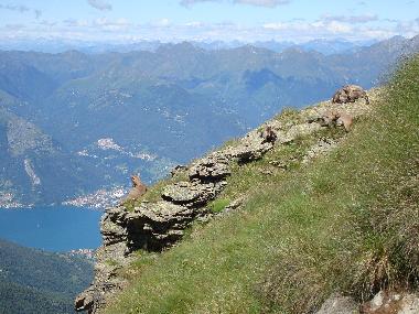 Maison de vacances /en/au Sorico (Como)ou appartement ou maison de vacances