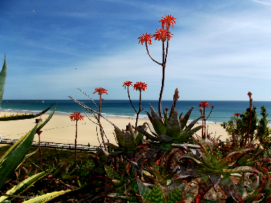 Appartement de vacances /en/au Portimao (Algarve)ou appartement ou maison de vacances