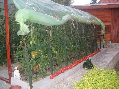 Villa �/en/au Varna (Varna)ou appartement ou maison de vacances