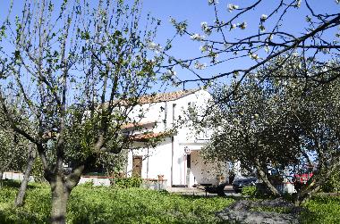 Appartement de vacances /en/au Piedimonte Etneo (Catania)ou appartement ou maison de vacances