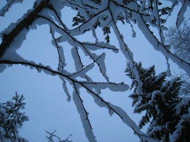 Maison de vacances �/en/au Rovaniemi (Lappi)ou appartement ou maison de vacances