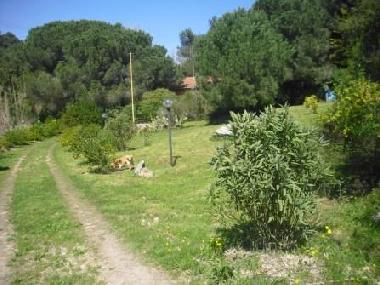 Villa /en/au Porto Azzurro (Livorno)ou appartement ou maison de vacances