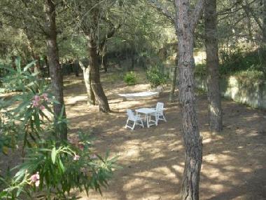 Villa /en/au Porto Azzurro (Livorno)ou appartement ou maison de vacances