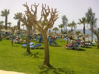 Maison de vacances �/en/au chlorakas (Paphos)ou appartement ou maison de vacances