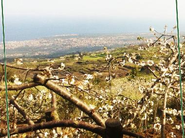 Maison de vacances /en/au Montargano di Mascali (Catania)ou appartement ou maison de vacances