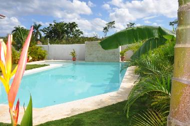 la piscine priv�e de la r�sidence � mons de 30 m�tres de Namaste