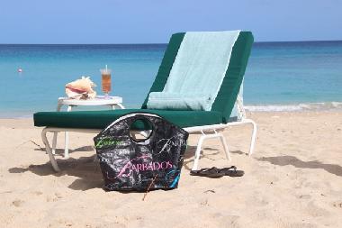 Appartement de vacances �/en/au Porters (Saint James)ou appartement ou maison de vacances