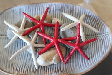 Appartement de vacances �/en/au Porters (Saint James)ou appartement ou maison de vacances