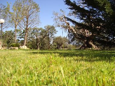 Maison de vacances �/en/au Castellana Grotte (Bari)ou appartement ou maison de vacances