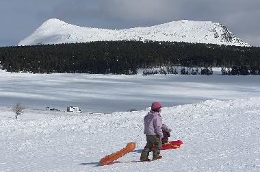 Appartement de vacances �/en/au Queyri�res (Haute-Loire)ou appartement ou maison de vacances