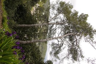 Appartement de vacances �/en/au villeneuve loubet (Alpes-Maritimes)ou appartement ou maison de vacances