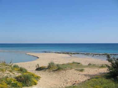 Villa /en/au Manduria (Taranto)ou appartement ou maison de vacances