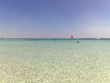 Villa /en/au Manduria (Taranto)ou appartement ou maison de vacances