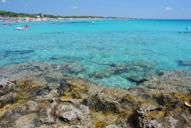 Villa /en/au Manduria (Taranto)ou appartement ou maison de vacances