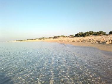 Villa /en/au Manduria (Taranto)ou appartement ou maison de vacances