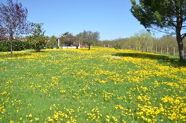Maison de vacances �/en/au Capranica (Viterbo)ou appartement ou maison de vacances