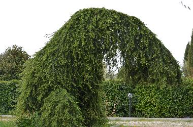 Maison de vacances �/en/au Capranica (Viterbo)ou appartement ou maison de vacances