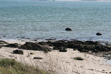 Maison de vacances /en/au PLOUNEOUR TREZ (Finistre)ou appartement ou maison de vacances