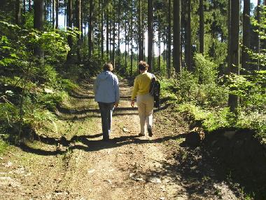 Appartement de vacances �/en/au Paliseul (Wallonia)ou appartement ou maison de vacances
