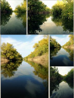 Chambre avec petit d�jeuner �/en/au Dunavatu de Jos (Tulcea)ou appartement ou maison de vacances