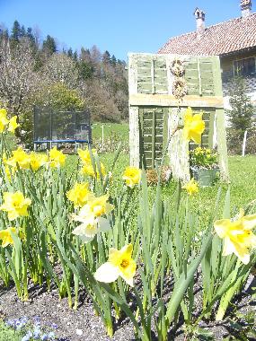 Appartement de vacances /en/au Langen bei Bregenz (Rheintal-Bodenseegebiet)ou appartement ou maison de vacances