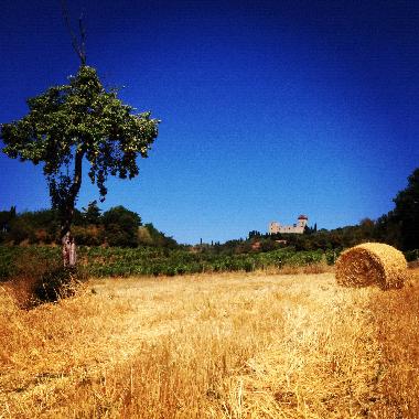 Maison de vacances /en/au localit Ciliegi (Firenze)ou appartement ou maison de vacances