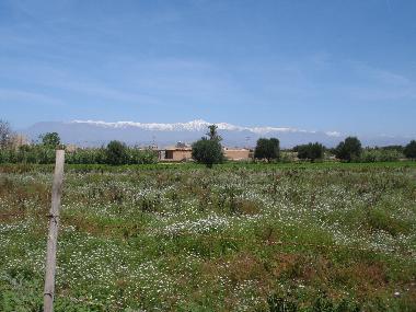 paysage des alentours