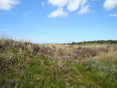 Maison de vacances /en/au Toftum,Rm (Sonderjylland)ou appartement ou maison de vacances