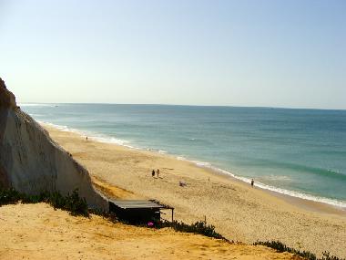 Appartement de vacances /en/au Albufeira (Algarve)ou appartement ou maison de vacances