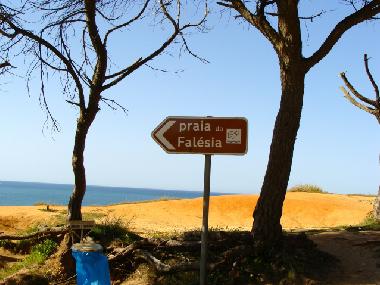 Appartement de vacances /en/au Albufeira (Algarve)ou appartement ou maison de vacances