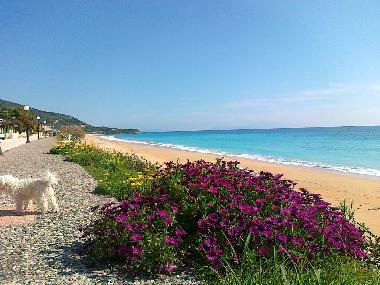 Maison de vacances /en/au loutsa-vrachos beach (Preveza)ou appartement ou maison de vacances