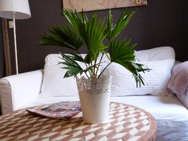 Appartement de vacances /en/au DIJON (Cte-d