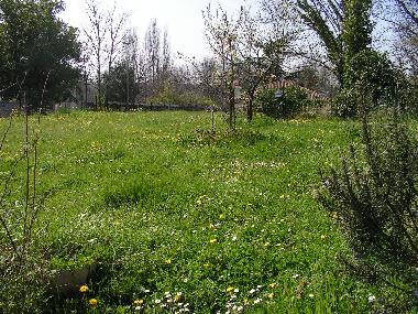 terrain fa�ade de la maison et jardin