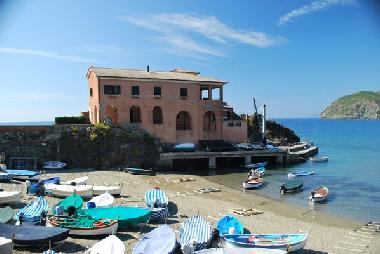 Levanto