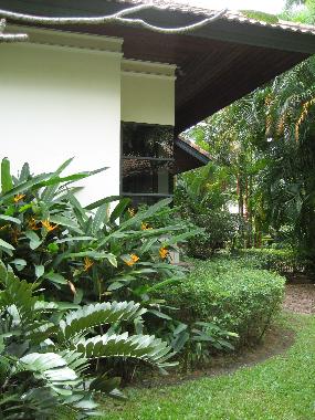 Villa /en/au Cherngtalay (Phuket)ou appartement ou maison de vacances