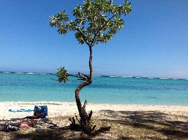 Appartement de vacances /en/au Le Morne (Black River)ou appartement ou maison de vacances