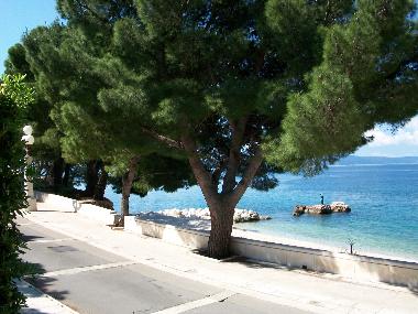 Appartement de vacances �/en/au Podgora (Splitsko-Dalmatinska)ou appartement ou maison de vacances