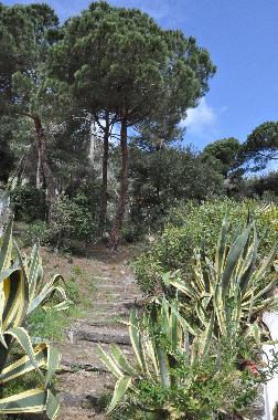 Maison de vacances �/en/au Lloret de Mar (Girona)ou appartement ou maison de vacances