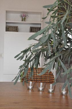 Maison de vacances �/en/au Lloret de Mar (Girona)ou appartement ou maison de vacances